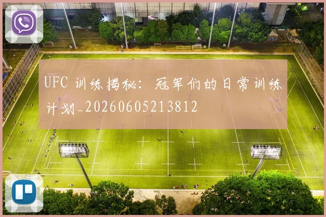 UFC 训练揭秘:冠军们的日常训练计划_20260605213812