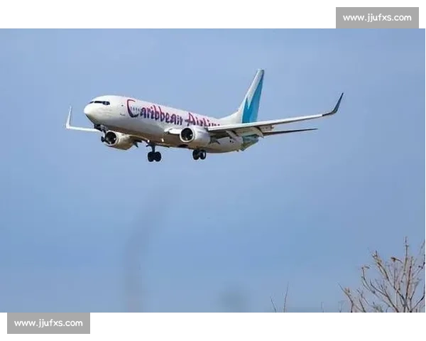 单程机票的隐喻：伊万离任与行政权力博弈